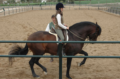 Paseos a Caballo