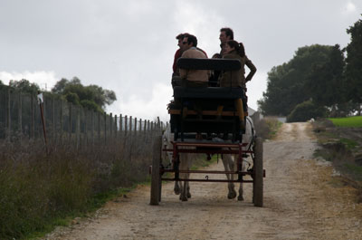 Paseos a Caballo