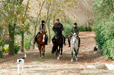 paseos a caballo