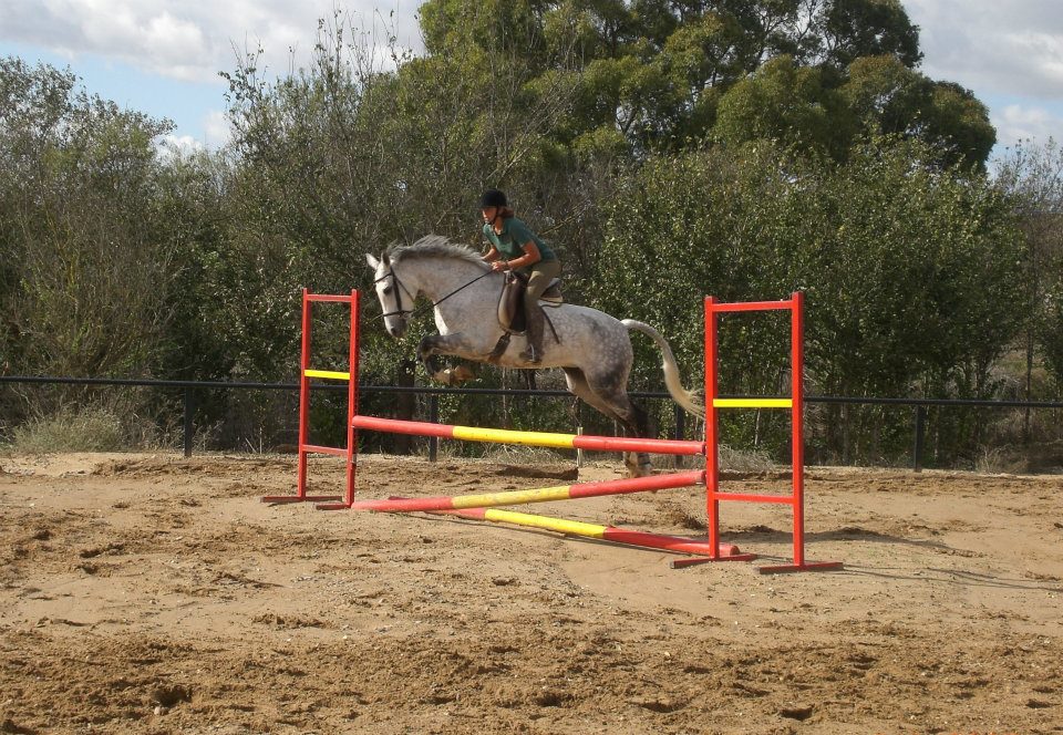 Paseos a Caballo